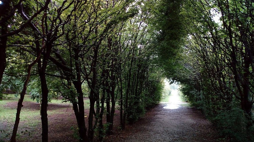 Botanical Gardens, Udine, Italy, Italy